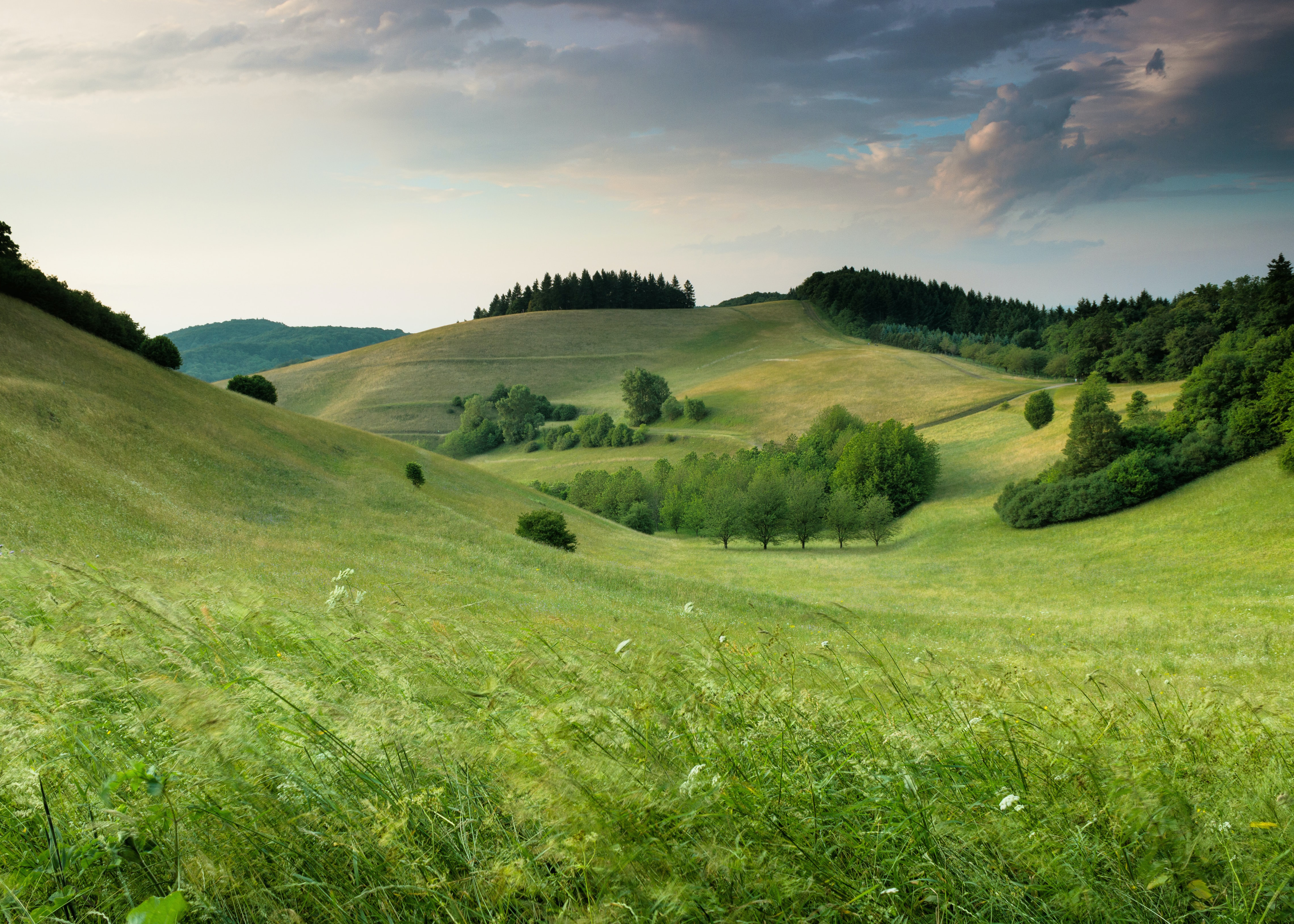 Warum es manchmal etwas länger dauert und deshalb gut für unsere Umwelt ist