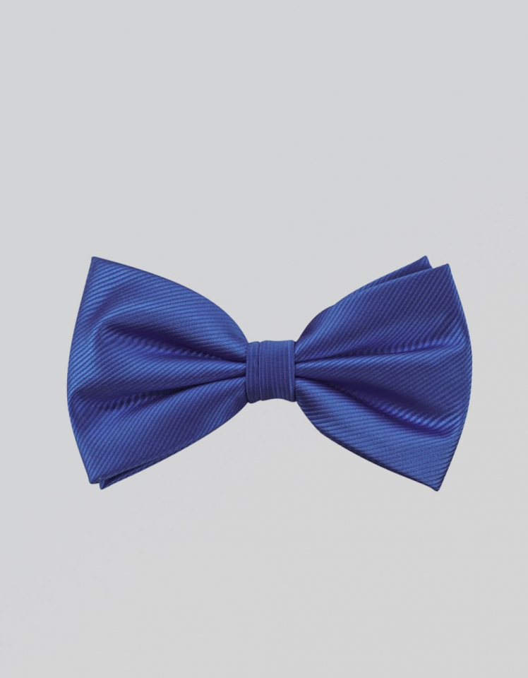 Fliege Filetto - royal