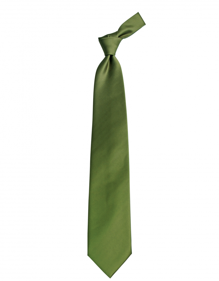 Krawatte Pescara - schilf