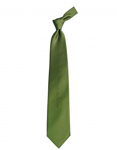 Krawatte Pescara - schilf