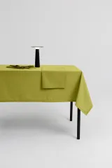 oasis