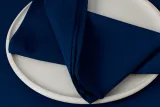 darkblue